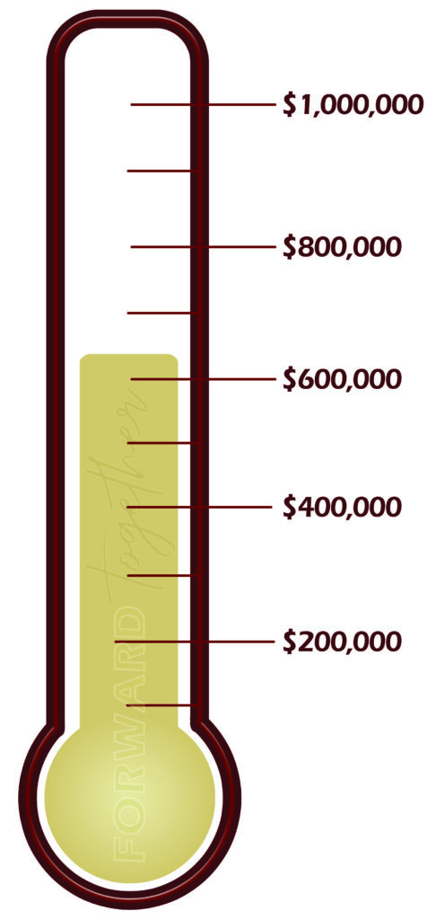Fundraising goal tracker